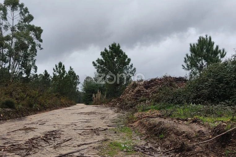 Terreno para Venda em Caxarias Foto 10