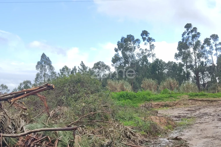 Terreno para Venda em Caxarias Foto 14