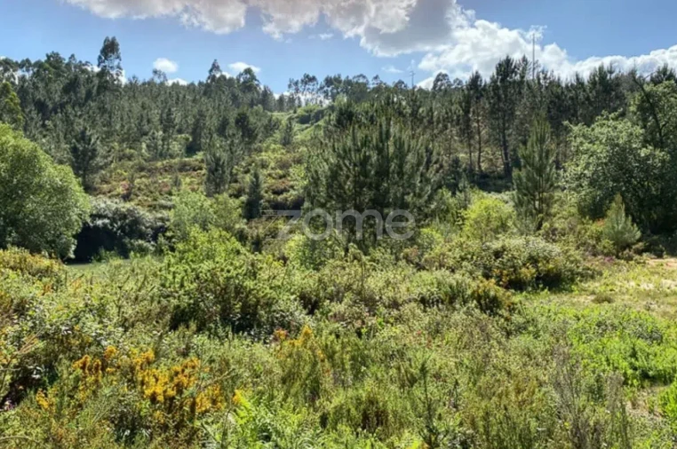 Terreno para Venda em Caxarias Foto 3