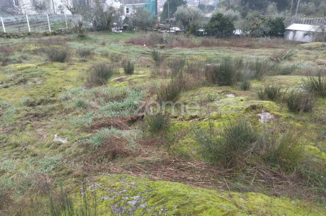 Terreno para Venda em Silgueiros Foto 15