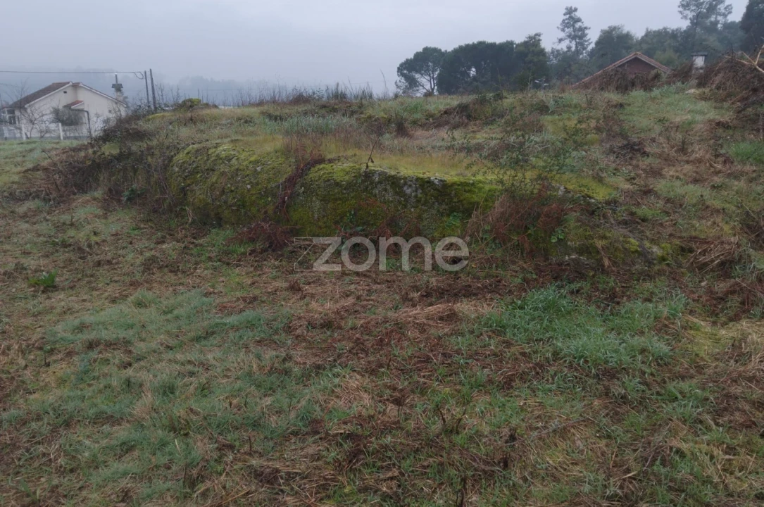 Terreno para Venda em Silgueiros Foto 16