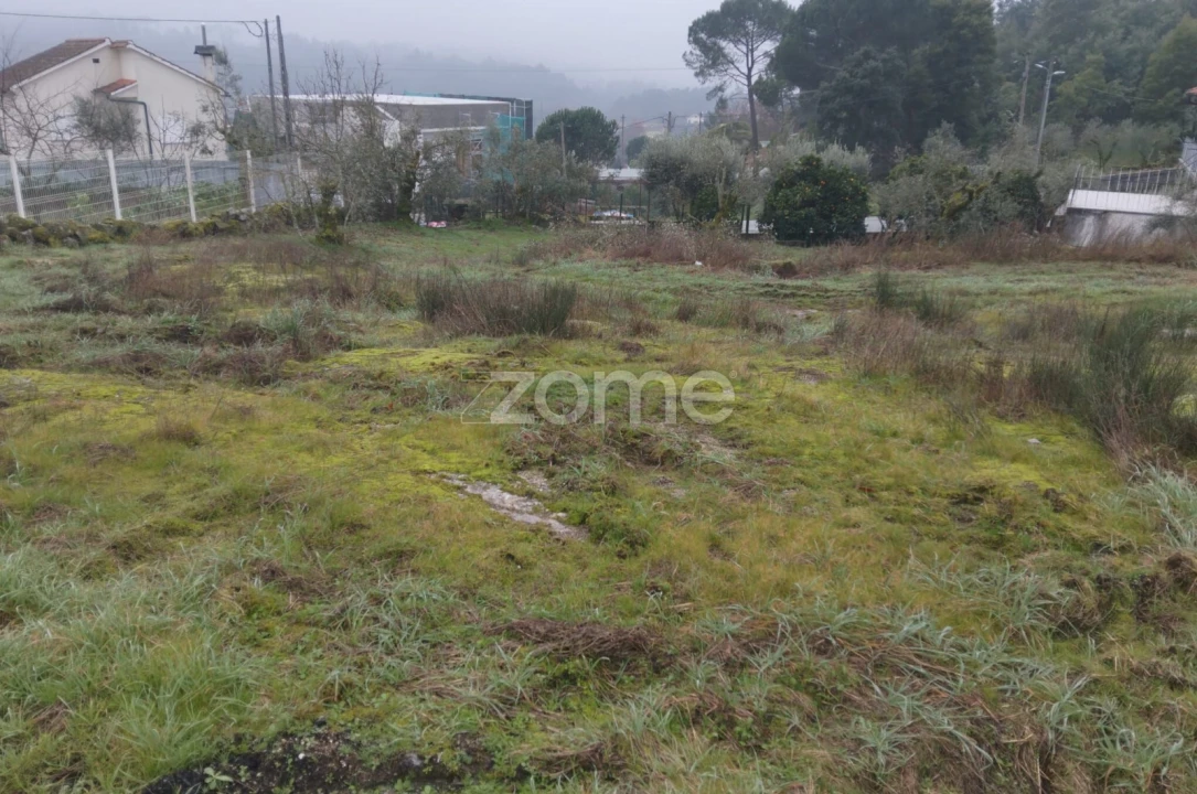 Terreno para Venda em Silgueiros Foto 24