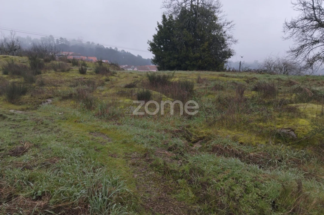 Terreno para Venda em Silgueiros Foto 25