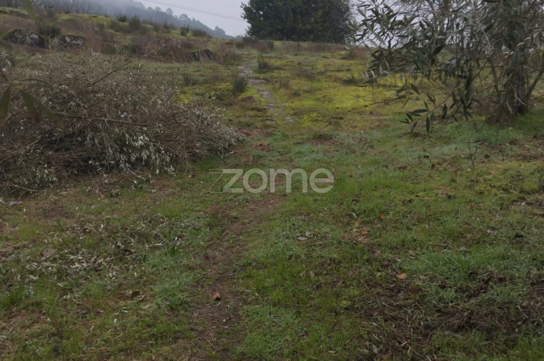 Terreno para Venda em Silgueiros Foto 28