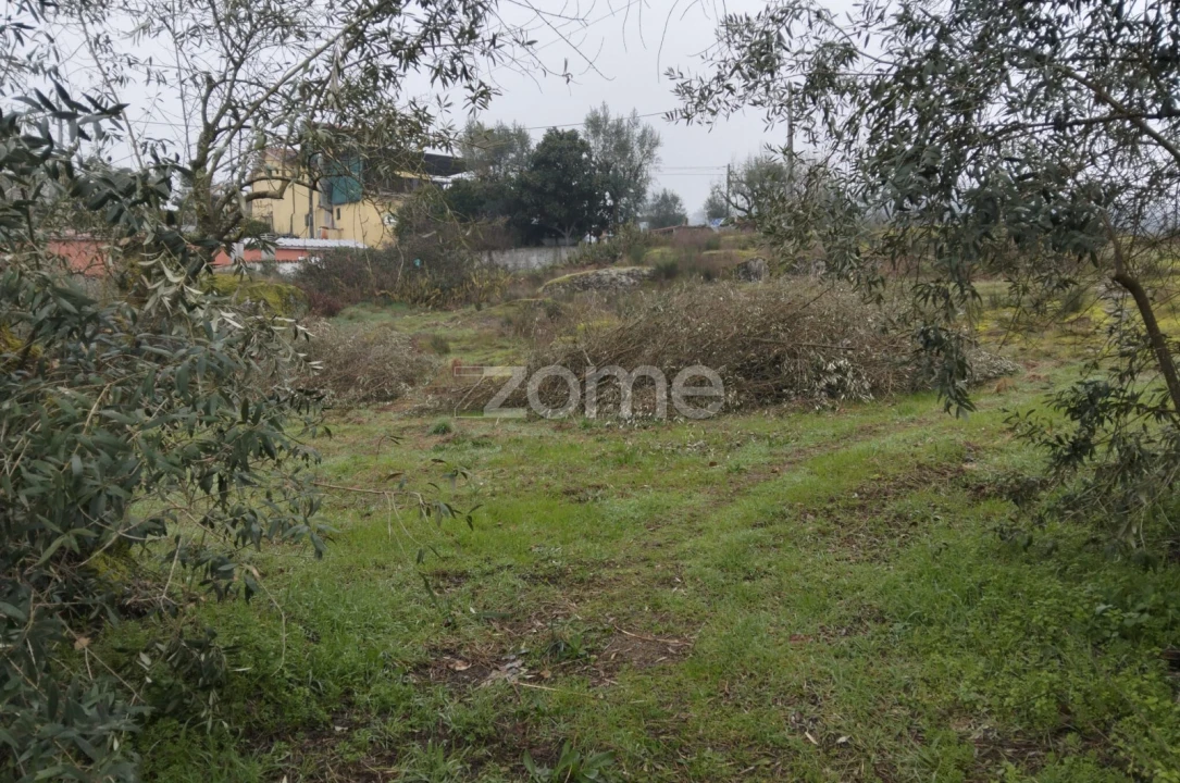 Terreno para Venda em Silgueiros Foto 26