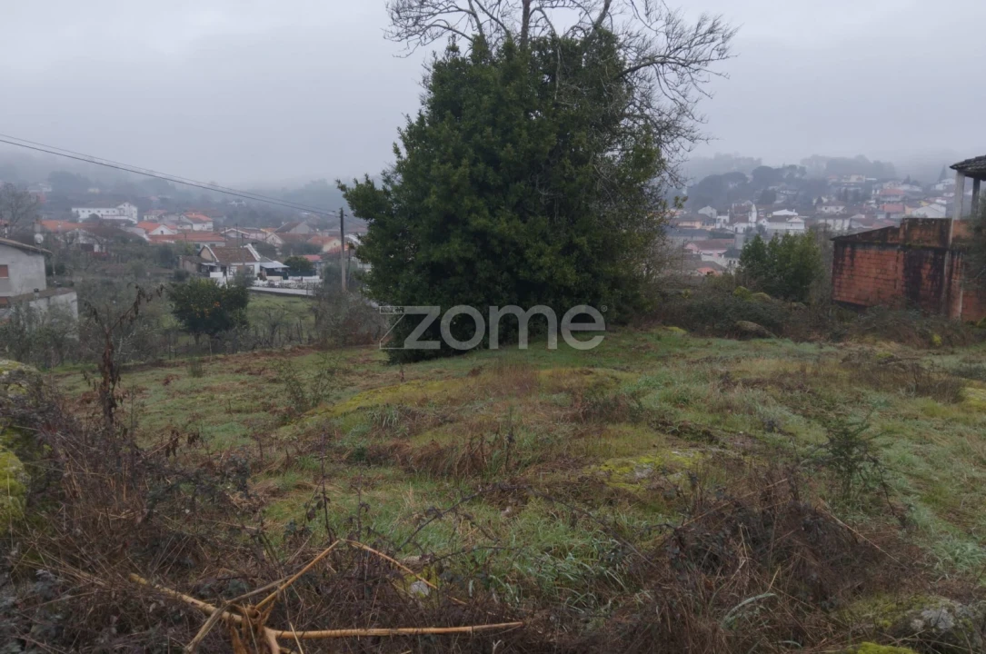 Terreno para Venda em Silgueiros Foto 21