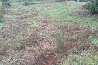 Terreno para Venda em Silgueiros