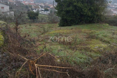 Terreno para Venda em Silgueiros