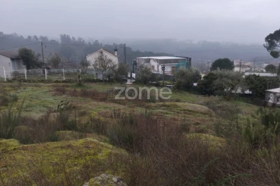 Terreno para Venda em Silgueiros