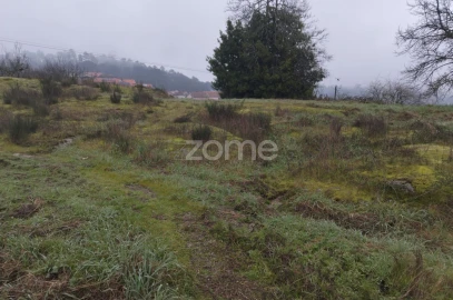 Terreno para Venda em Silgueiros