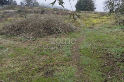 Terreno para Venda em Silgueiros