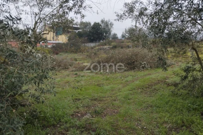 Terreno para Venda em Silgueiros