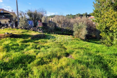Terreno para Venda em Silgueiros