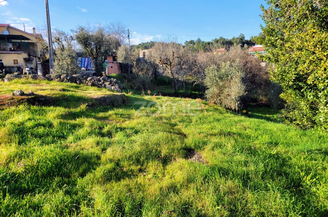Terreno para Venda em Silgueiros Foto 12