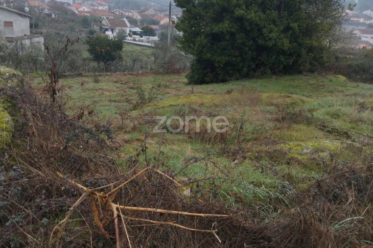 Terreno para Venda em Silgueiros Foto 19