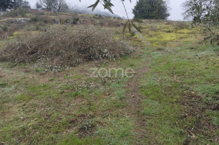 Terreno para Venda em Silgueiros Foto 27