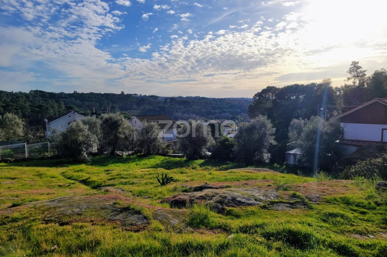 Terreno para Venda em Silgueiros Foto 6