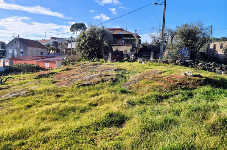 Terreno para Venda em Silgueiros Foto 14