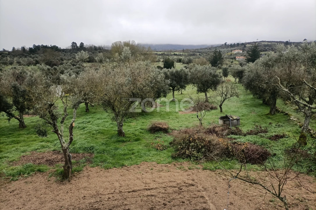 Moradia T1 para Venda em Mesquitela Foto 5