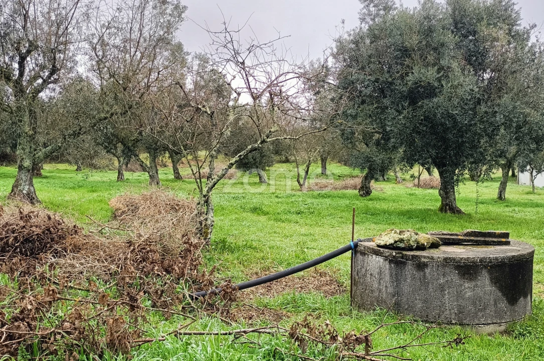 Moradia T1 para Venda em Mesquitela Foto 12