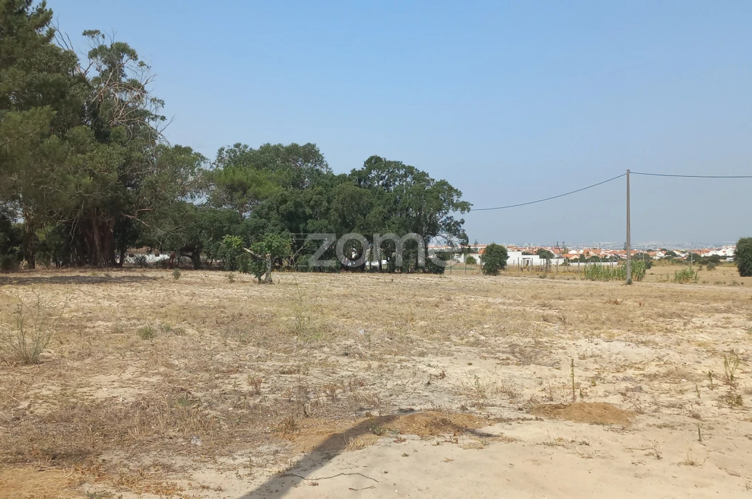 Terreno para Venda em Montijo e Afonsoeiro Foto 1