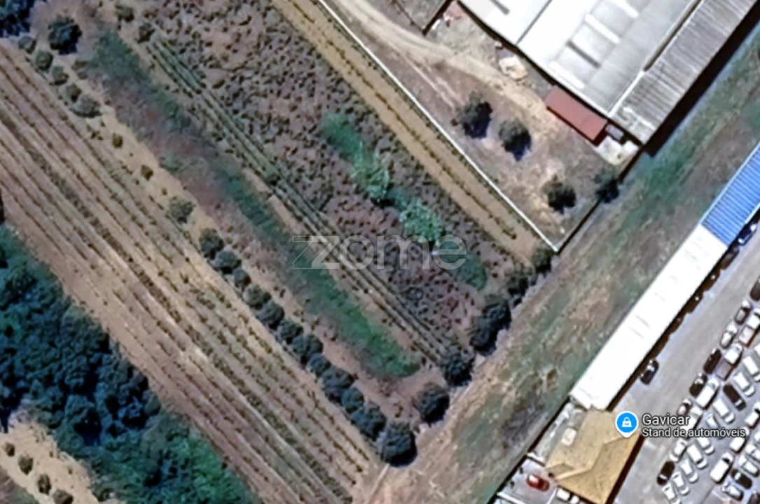 Terreno para Venda em Tamengos, Aguim e Óis do Bairro Foto 9