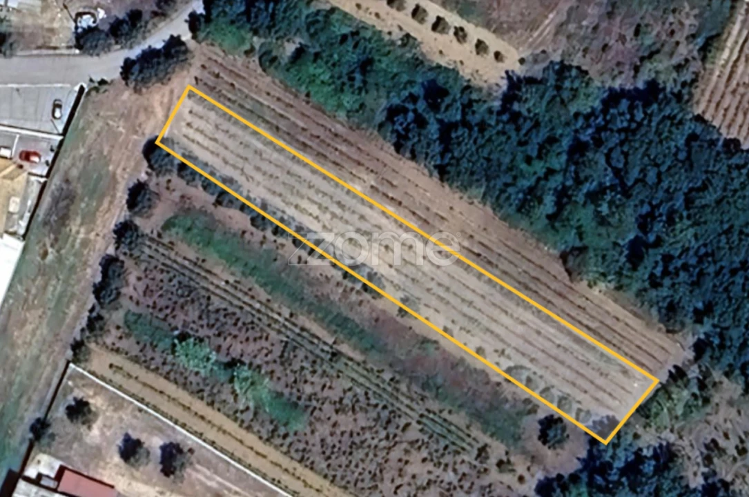 Terreno para Venda em Tamengos, Aguim e Óis do Bairro Foto 12