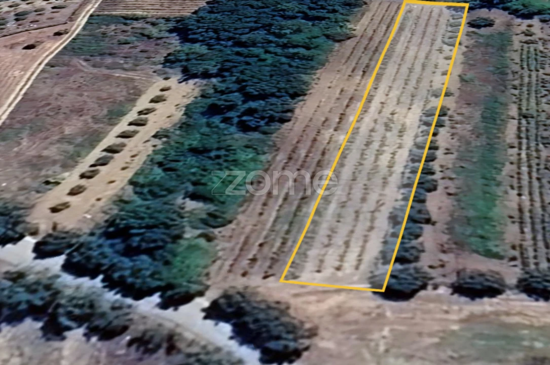 Terreno para Venda em Tamengos, Aguim e Óis do Bairro Foto 13