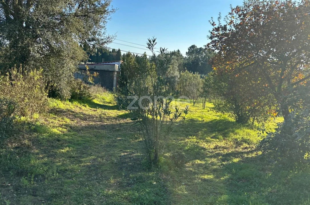 Terreno para Venda em Tamengos, Aguim e Óis do Bairro Foto 5