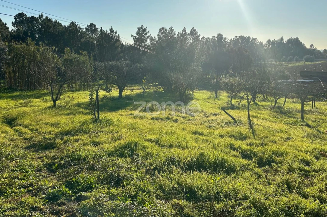 Terreno para Venda em Tamengos, Aguim e Óis do Bairro Foto 6