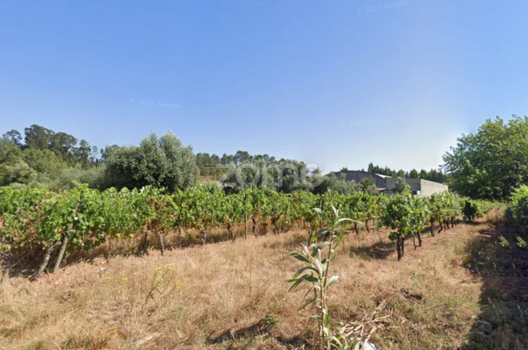 Terreno para Venda em Tamengos, Aguim e Óis do Bairro Foto 8
