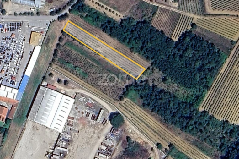 Terreno para Venda em Tamengos, Aguim e Óis do Bairro Foto 11