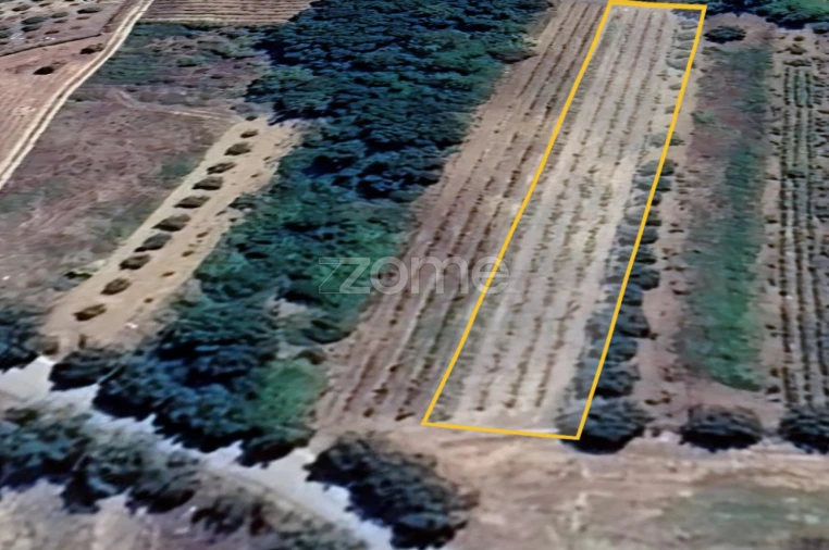 Terreno para Venda em Tamengos, Aguim e Óis do Bairro Foto 13