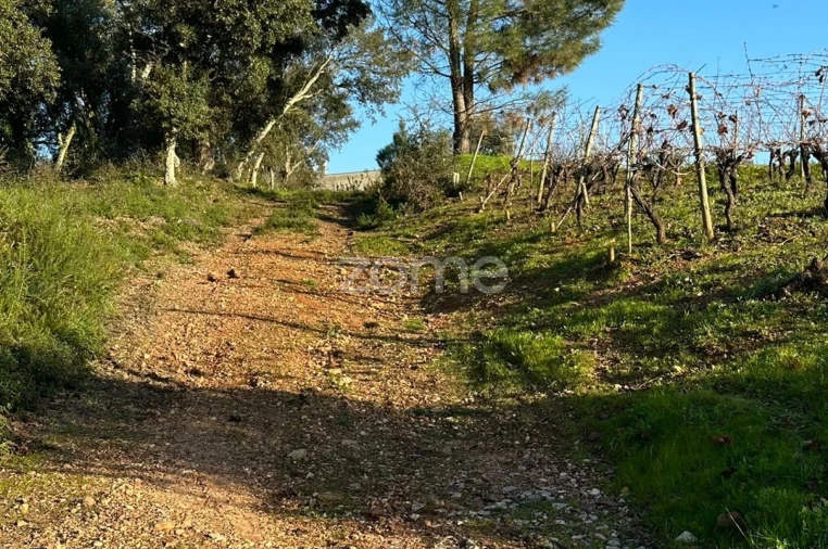 Terreno para Venda em Tamengos, Aguim e Óis do Bairro Foto 2
