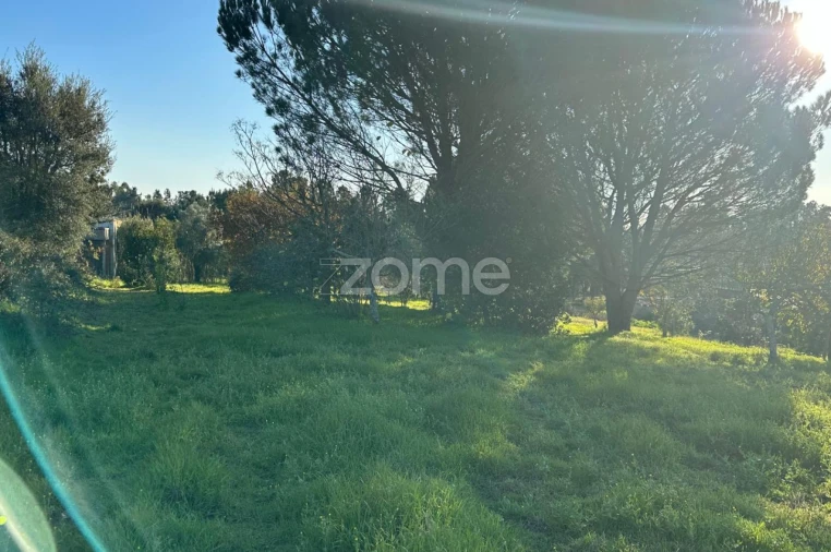 Terreno para Venda em Tamengos, Aguim e Óis do Bairro Foto 3