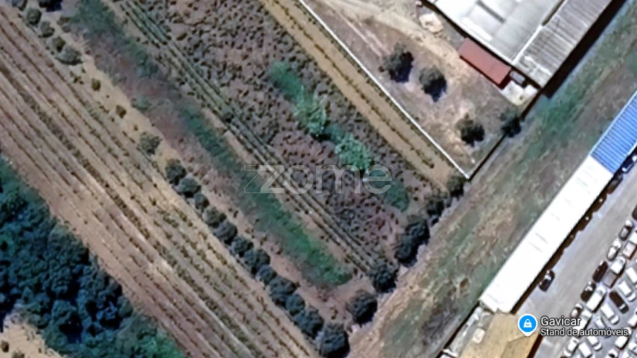 Terreno para Venda em Tamengos, Aguim e Óis do Bairro