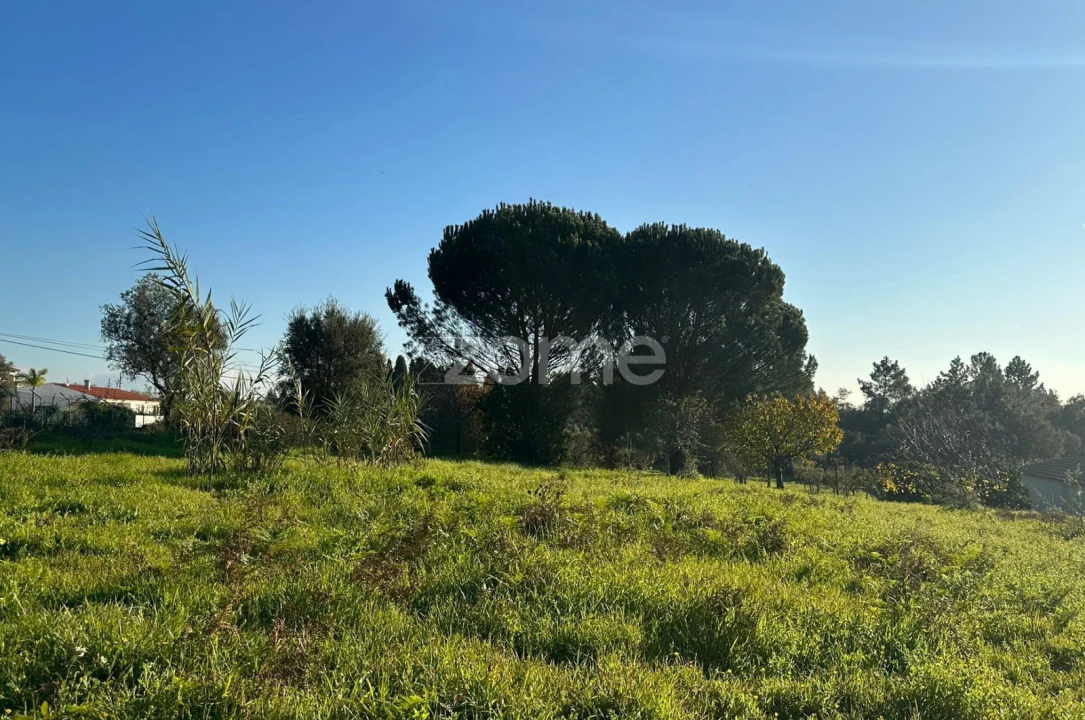 Terreno para Venda em Tamengos, Aguim e Óis do Bairro Foto 3