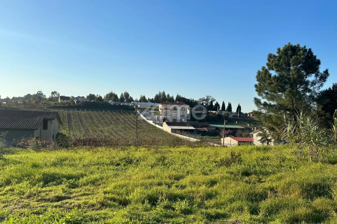 Terreno para Venda em Tamengos, Aguim e Óis do Bairro Foto 16