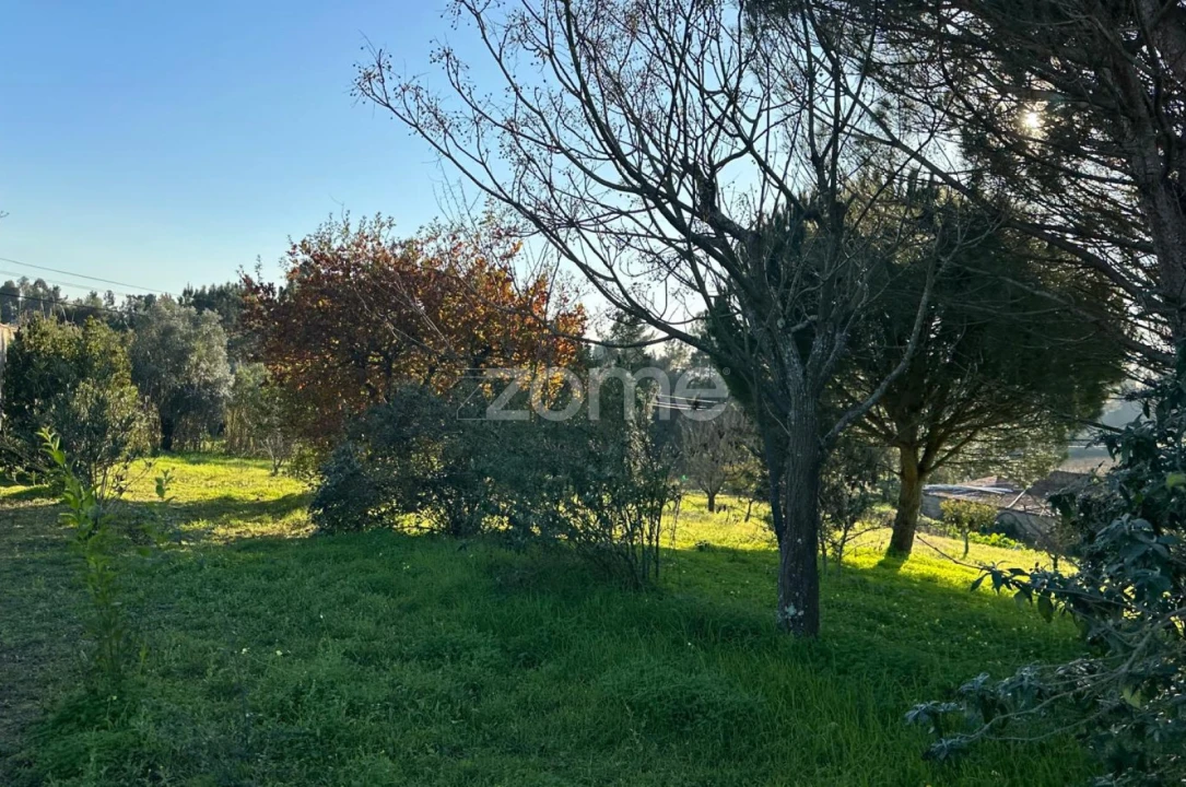 Terreno para Venda em Tamengos, Aguim e Óis do Bairro Foto 19