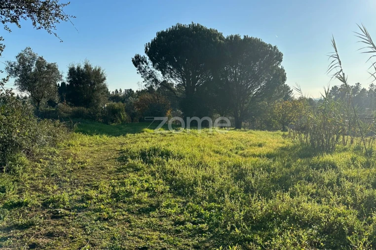 Terreno para Venda em Tamengos, Aguim e Óis do Bairro Foto 2