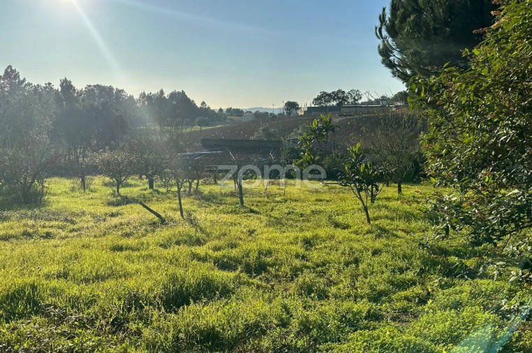 Terreno para Venda em Tamengos, Aguim e Óis do Bairro Foto 8