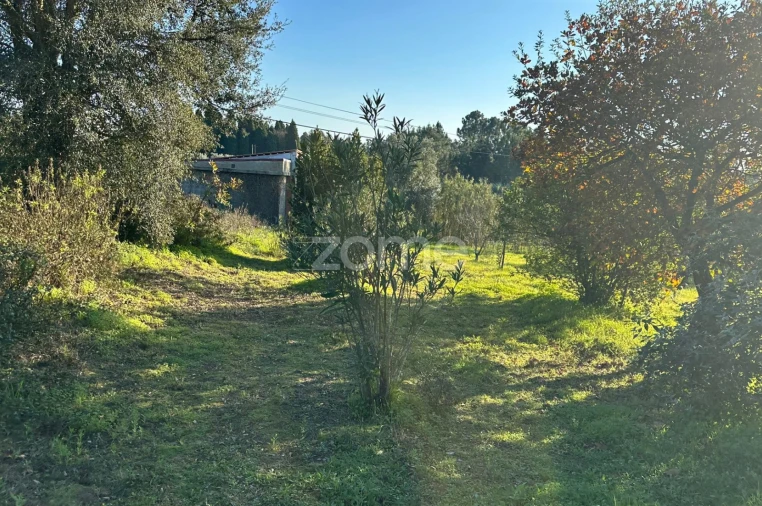 Terreno para Venda em Tamengos, Aguim e Óis do Bairro Foto 12