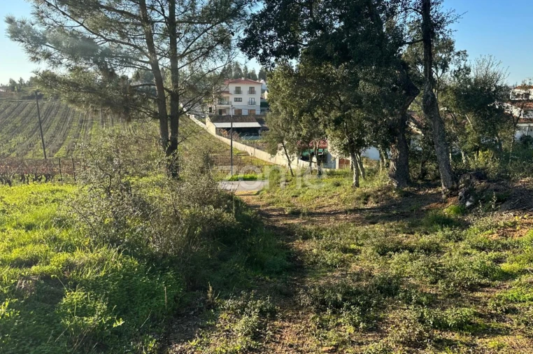 Terreno para Venda em Tamengos, Aguim e Óis do Bairro Foto 14