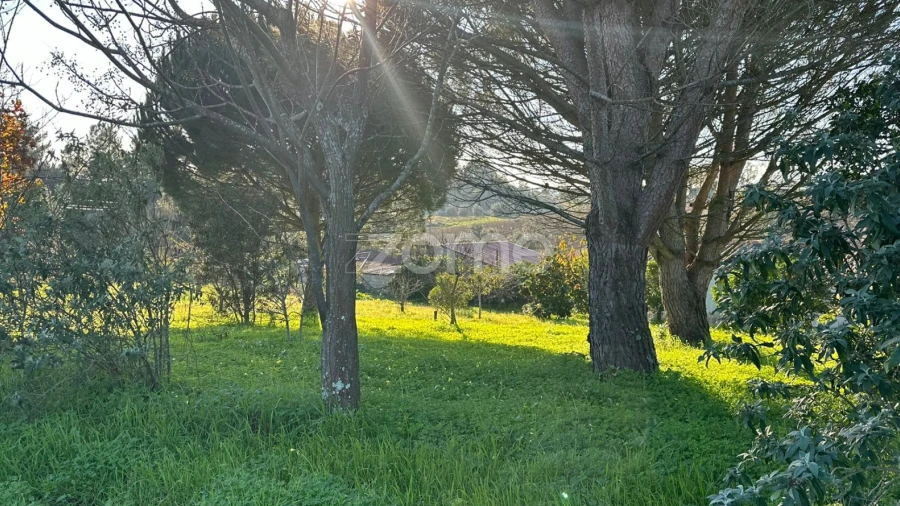 Terreno para Venda em Tamengos, Aguim e Óis do Bairro