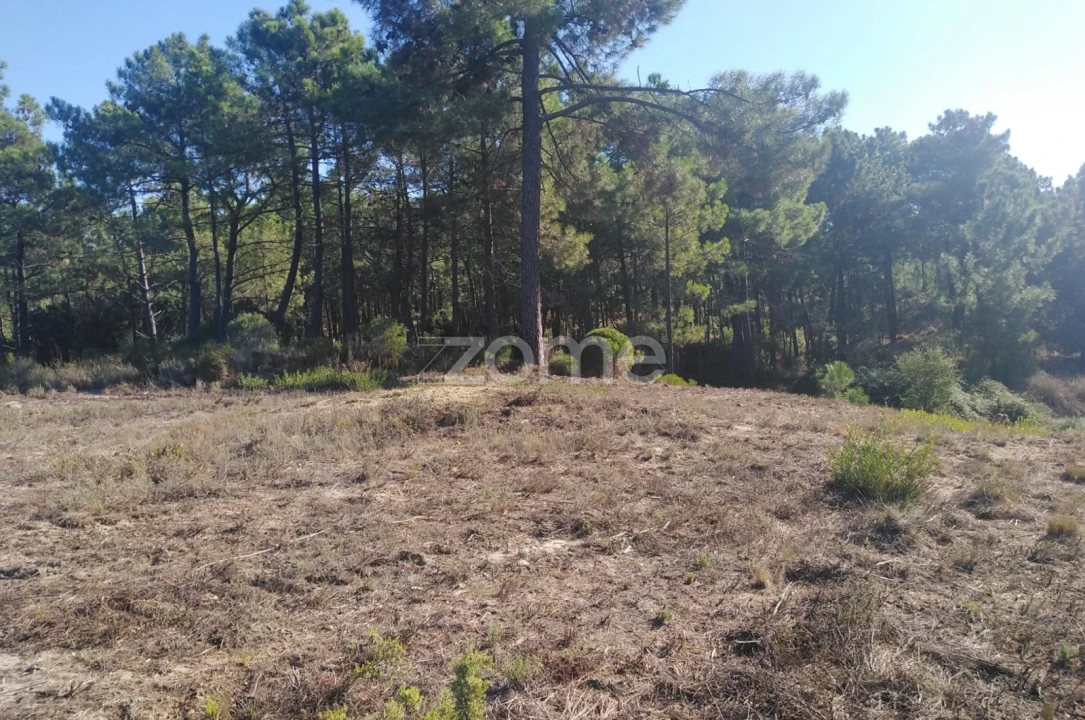 Terreno para Venda em Seixal, Arrentela e Aldeia de Paio Pires Foto 8