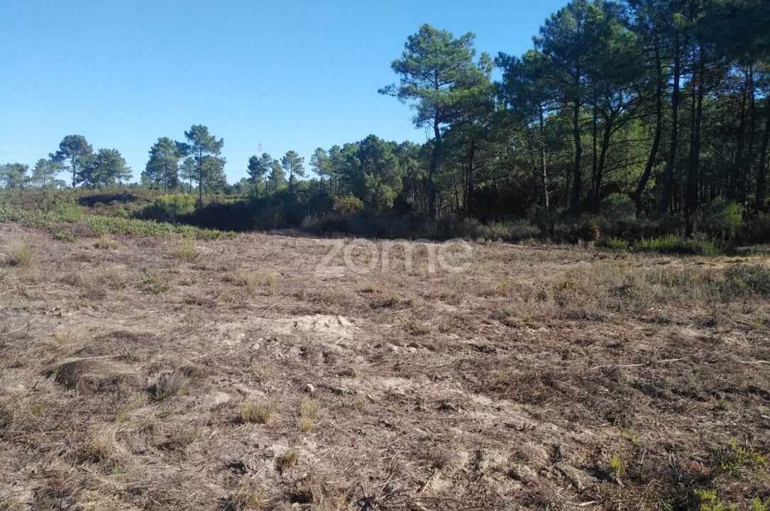 Terreno para Venda em Seixal, Arrentela e Aldeia de Paio Pires Foto 10