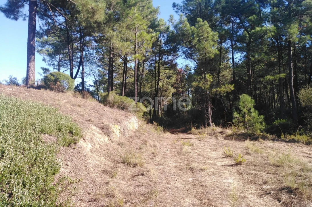 Terreno para Venda em Seixal, Arrentela e Aldeia de Paio Pires Foto 2