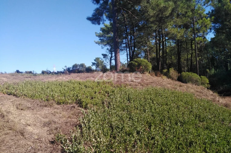 Terreno para Venda em Seixal, Arrentela e Aldeia de Paio Pires Foto 15