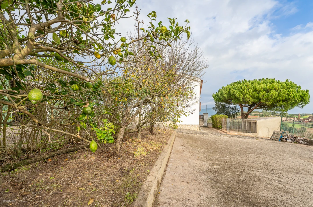 Moradia T4 para Venda em Ventosa Foto 28