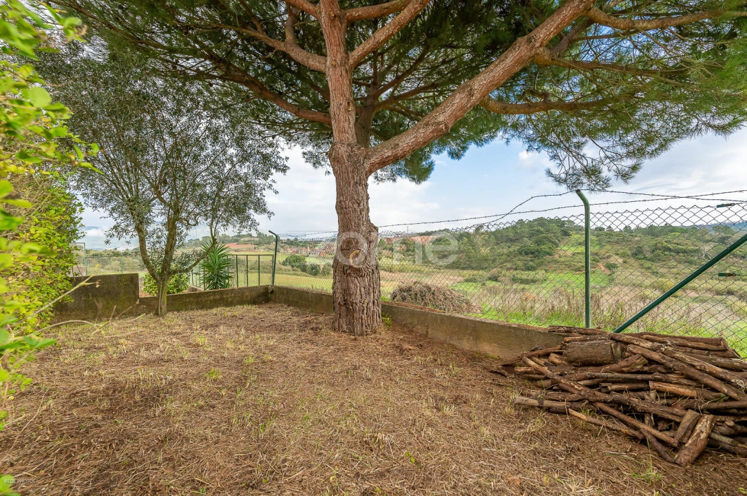 Moradia T4 para Venda em Ventosa Foto 27